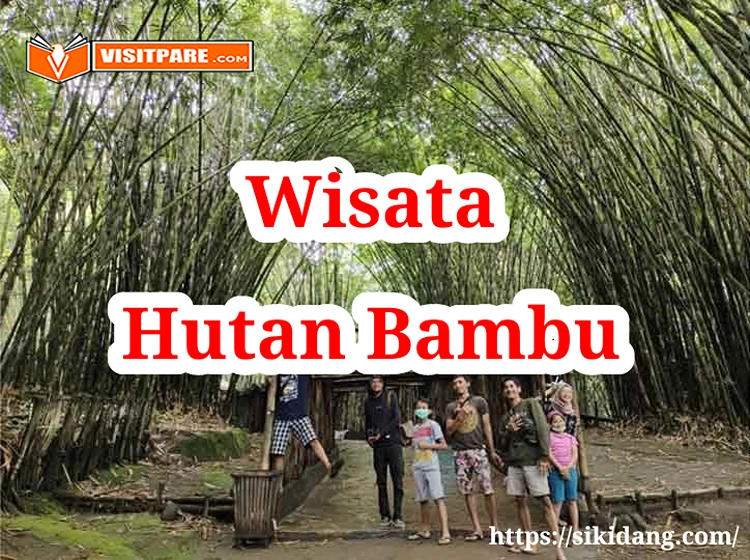 Pesona Wisata Hutan Bambu Lumajang Visitpare