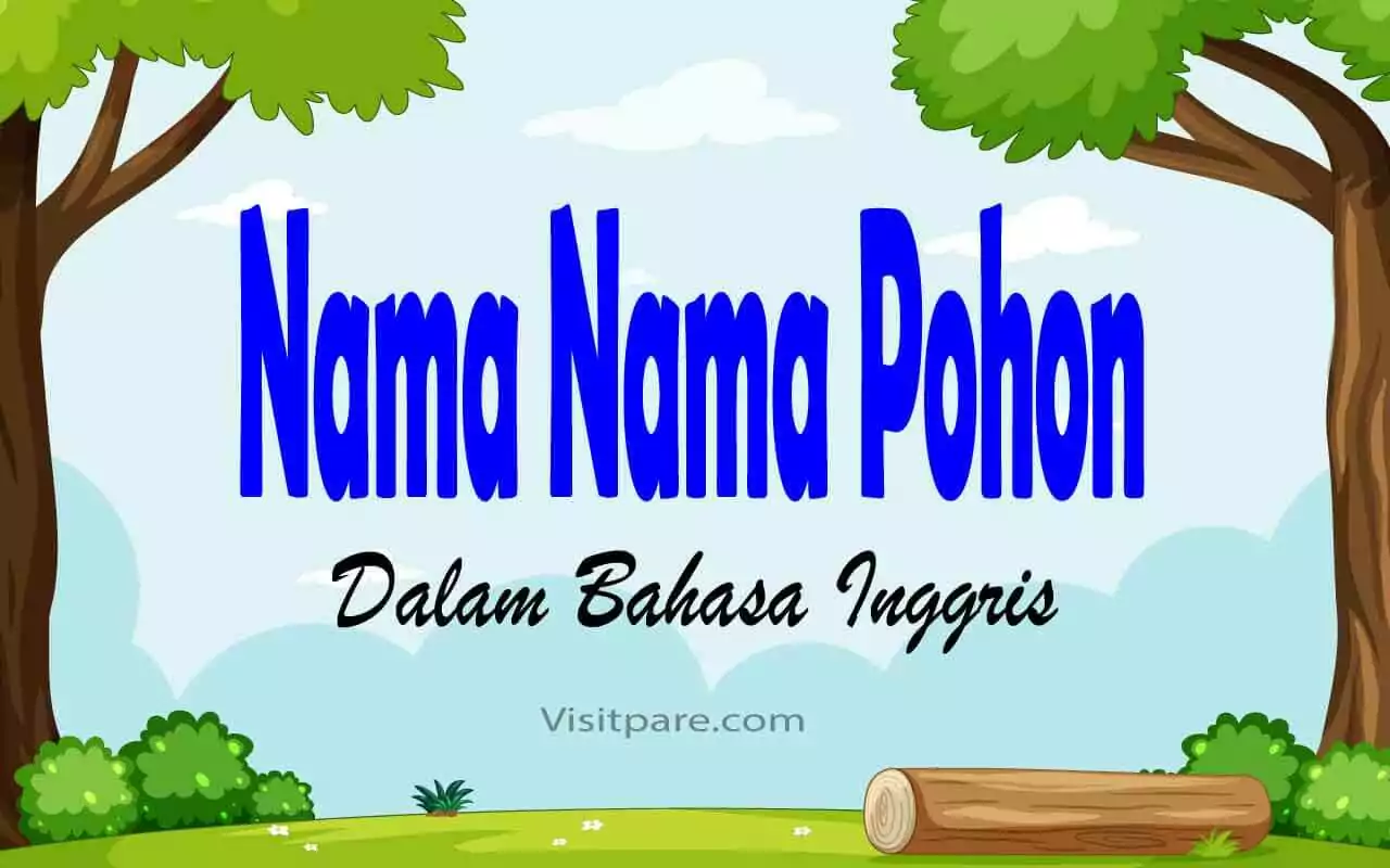 Nama Nama Pohon dalam Bahasa Inggris