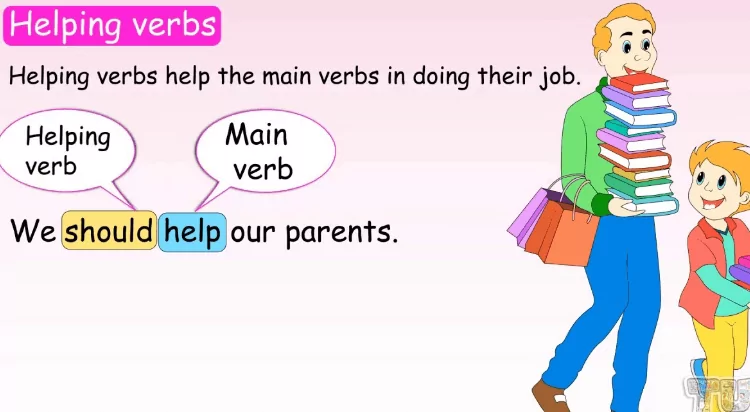 Main Verb