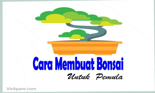 cara membuat bonsai untuk pemula