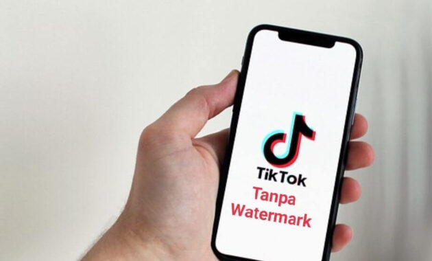 Aplikasi download TikTok tanpa watermark