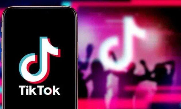 Download Video TikTok Tanpa Aplikasi