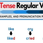Past Simple Regular Verbs