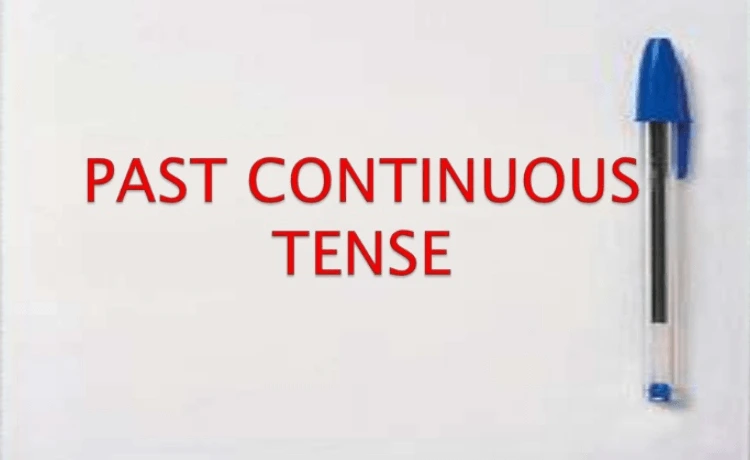 Past Continuous Tense