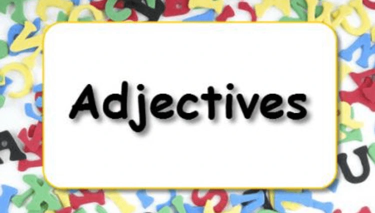 Apa itu Adjective