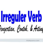 Irregular Verb Pengertian Contoh dan Artinya