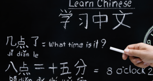 cara belajar bahasa china