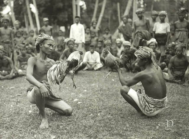 7 Legenda Dari Ntt Yang Paling Terkenal Di Indonesia