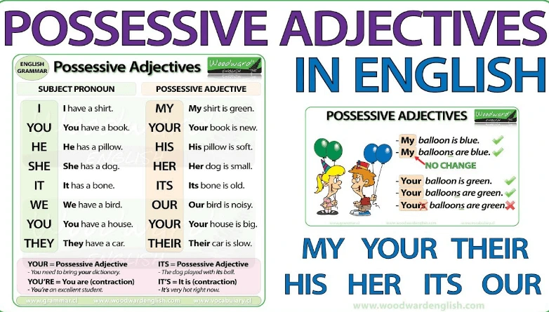 Manfaat Mempelajari Possessive Adjective dalam Materi Berbahasa Inggris