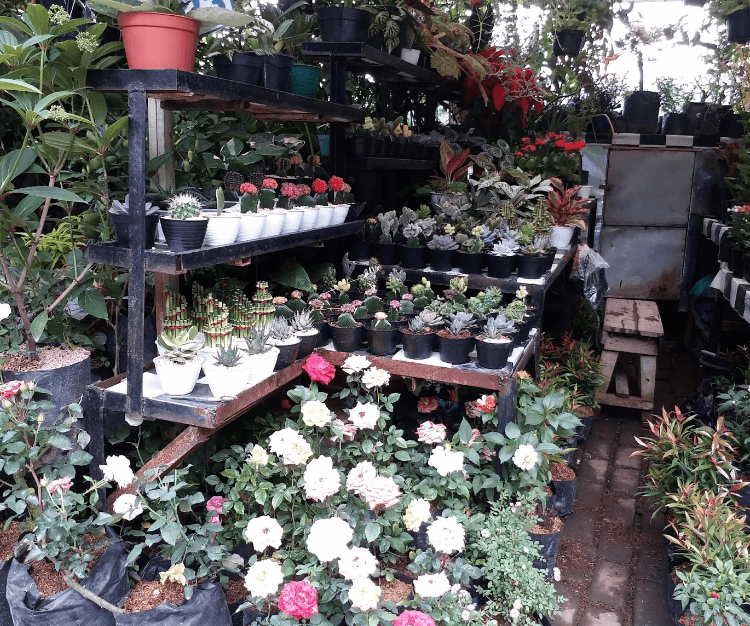 Pasar Bunga