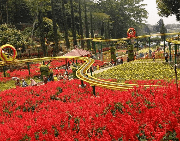 Taman Bunga