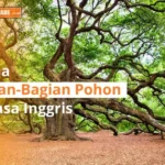 bagian pohon bahasa inggris
