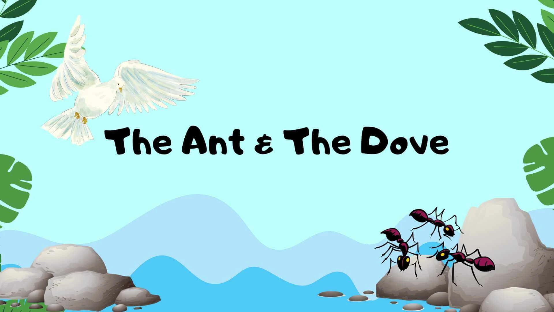 The Ant and The Dove 