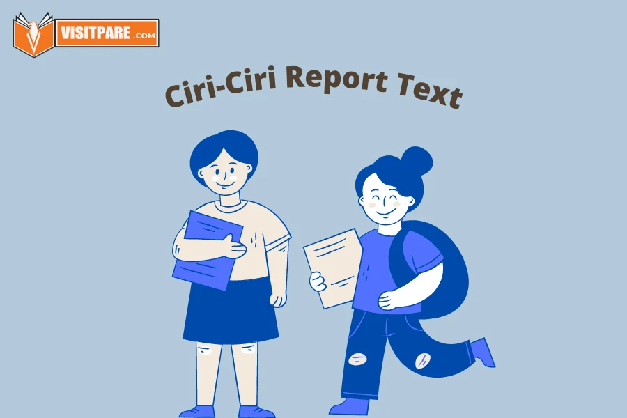 ciri - ciri report text