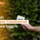 Present Conditional