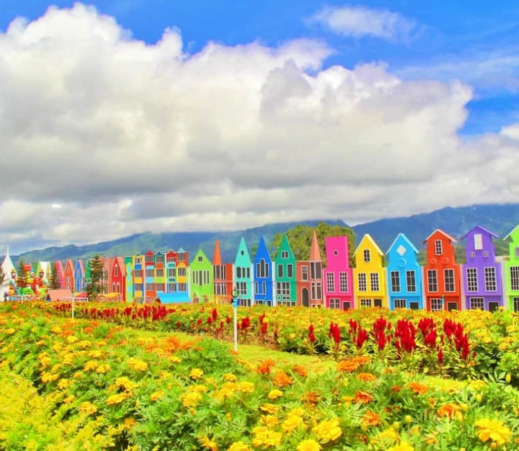 Informasi Mengenai Flora Wisata San Terra