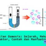 Pengertian Osmosis