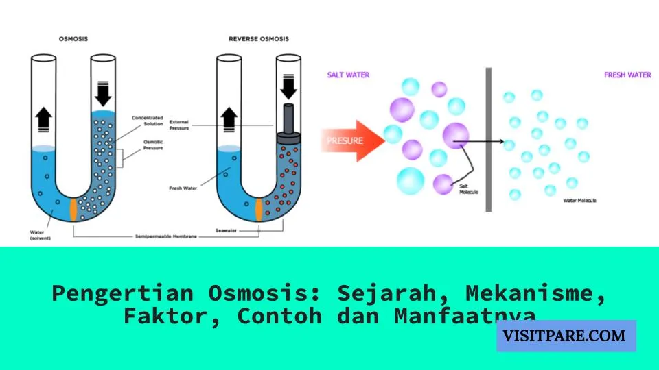 Pengertian Osmosis