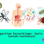 Pengertian Parasitisme