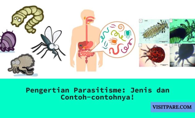 Pengertian Parasitisme