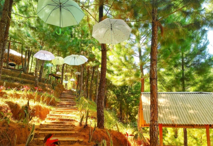 Mengenal Lebih Jauh dengan Bukit Pelangi