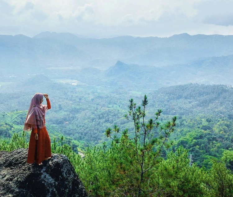 Mengenal Atas Pringgitan