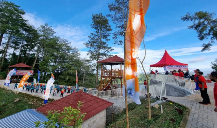 Kegiatan Pengunjung