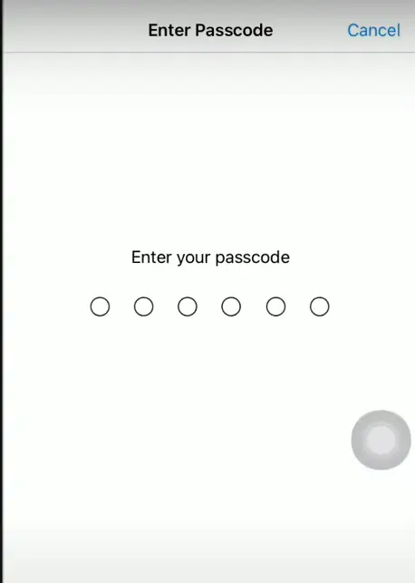 iPhone passcode