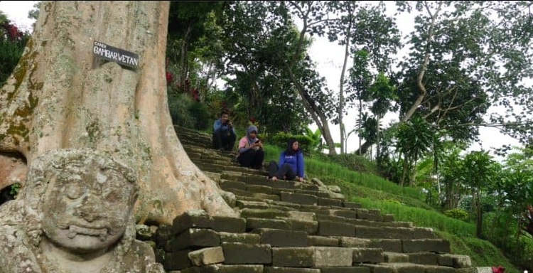 Kegiatan di Area