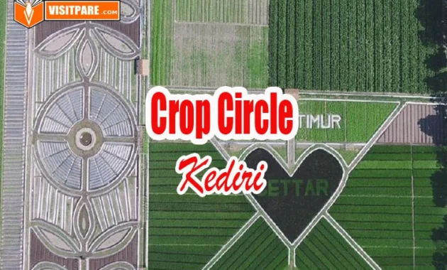 crop Circle kediri