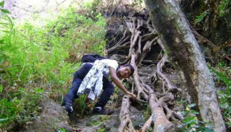 Daya Tarik Downhill Wana Wisata Panglungan