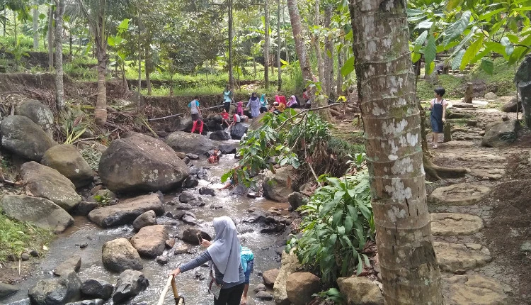 Alamat Menuju Downhill Wana Wisata Panglungan