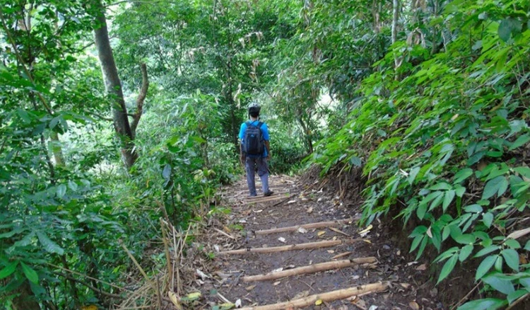 Kondisi Jalur