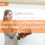 Mempelajari Contoh Kalimat Past Future Perfect Tense