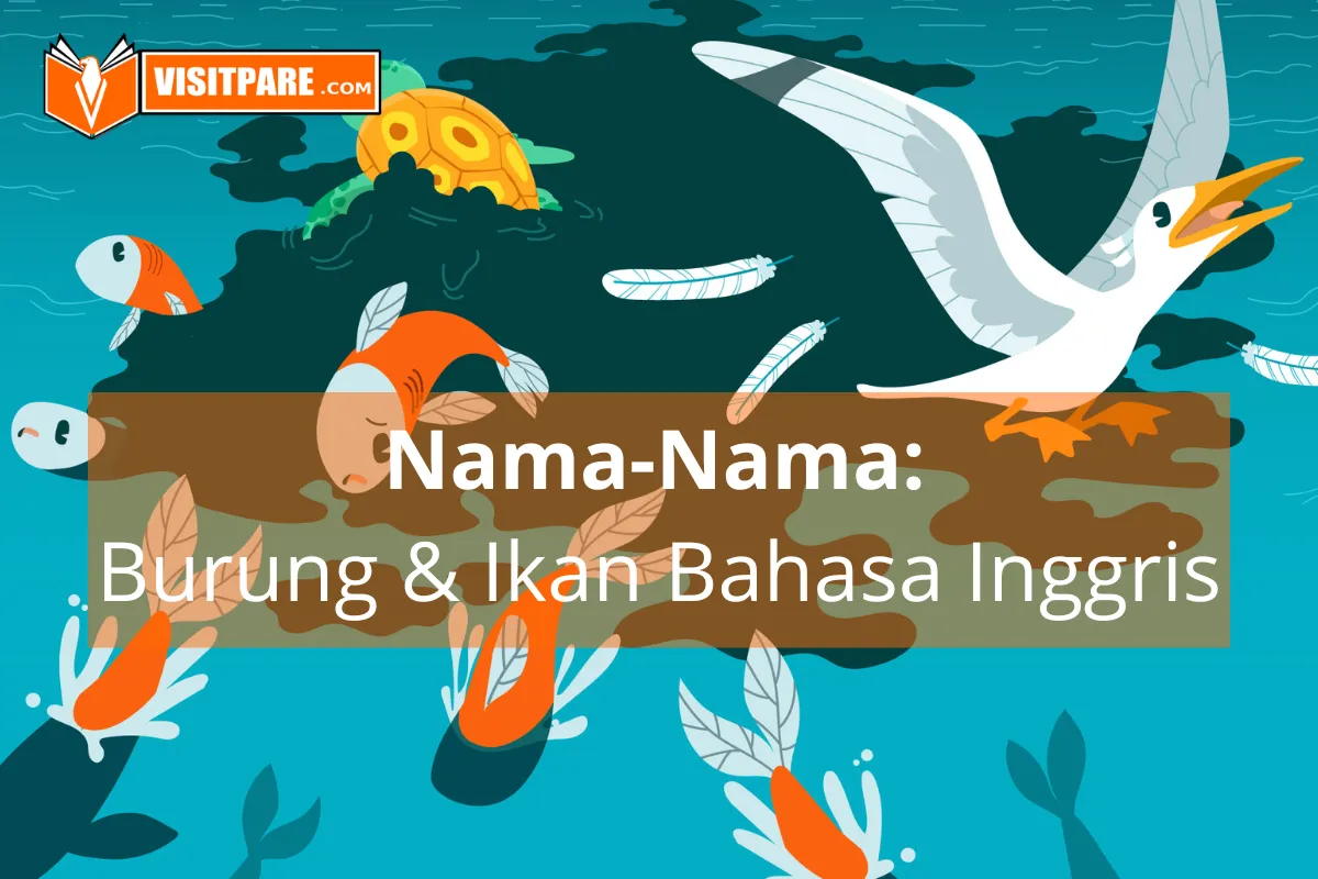 Kumpulan Nama-Nama Burung dan Ikan dalam Bahasa Inggris serta Artinya