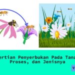Pengertian Penyerbukan
