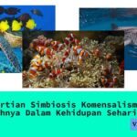 Pengertian Simbiosis Komensalisme