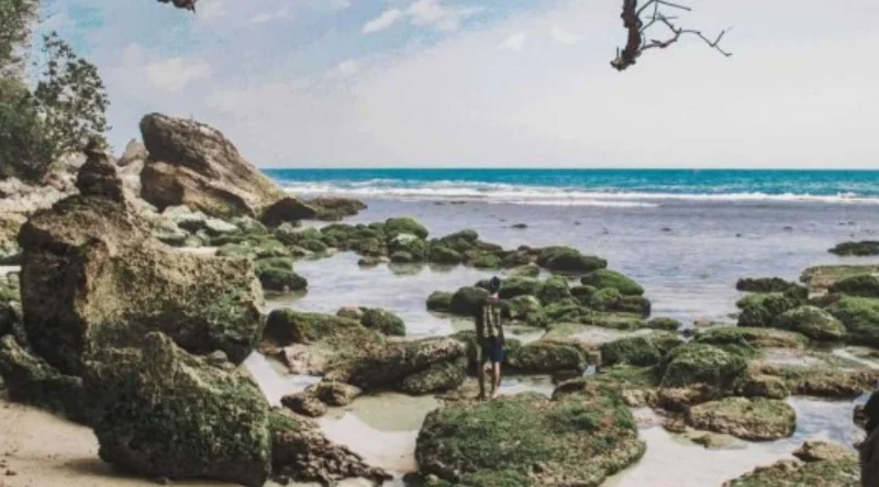 Pantai Pucang Sawit
