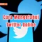 Cara Mengetahui Twitter Online
