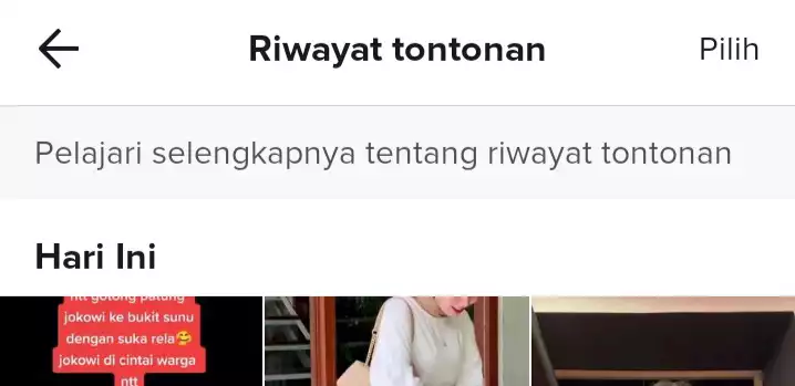 Cara Melihat History Tiktok Yang Pernah Ditonton - Visitpare.com