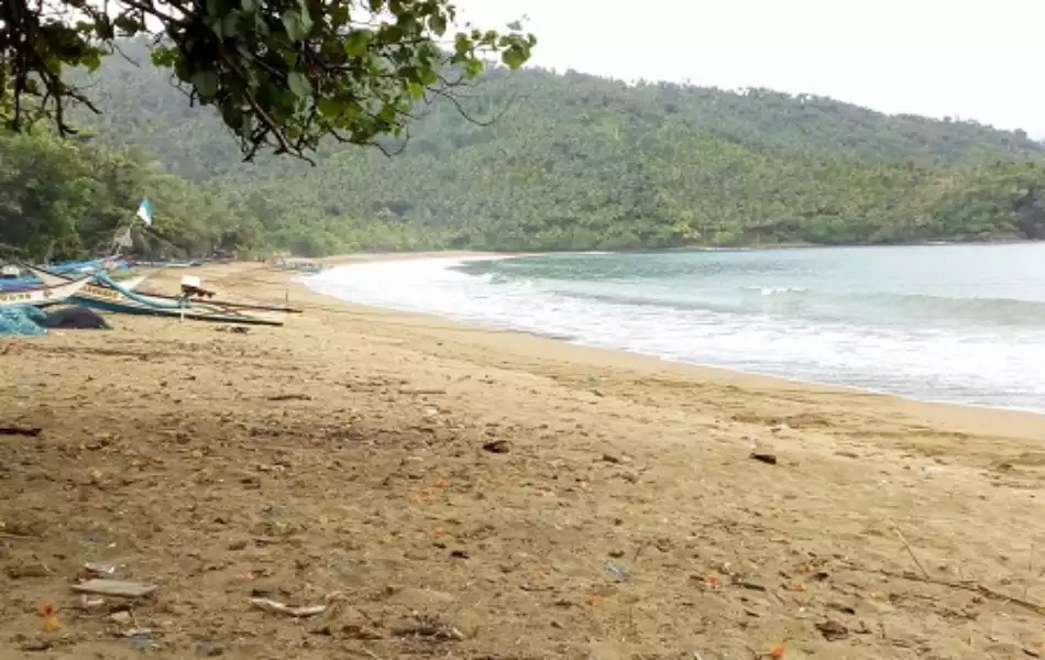Pantai Ngadipuro Trenggalek