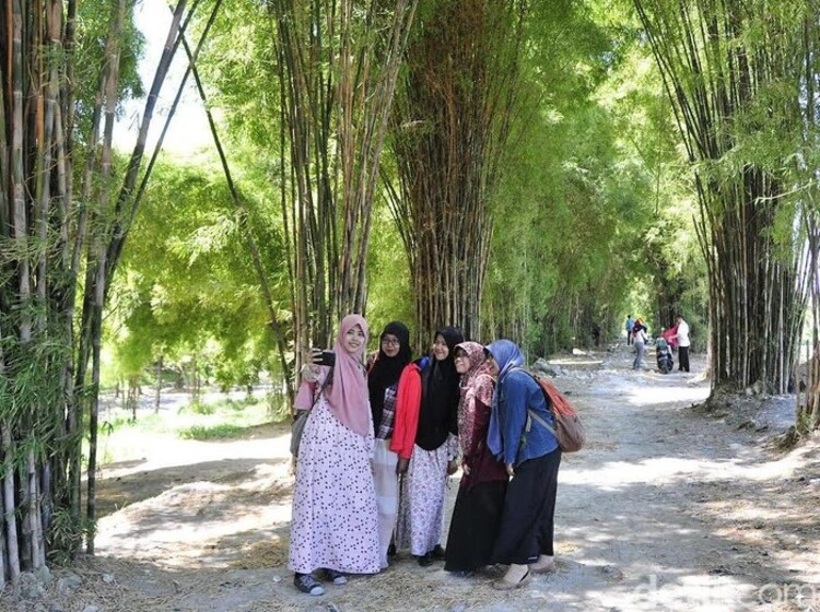 Daya Tarik Hutan Bambu