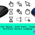 Pengertian Mouse