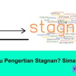 Pengertian Stagnan